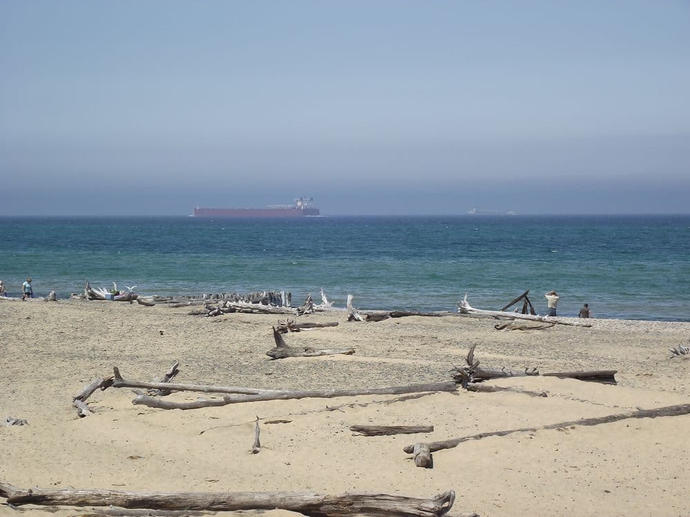 Lake Superior shoreline with driftwood and open water