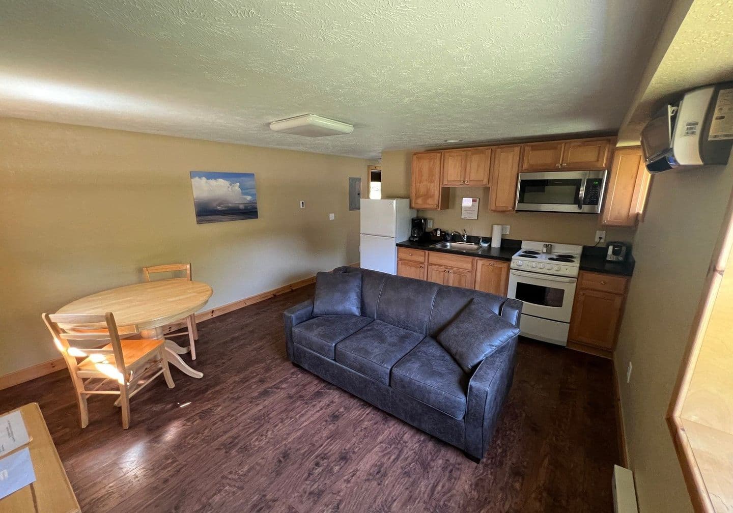 Queen Suite living area with sleeper sofa and kitchenette