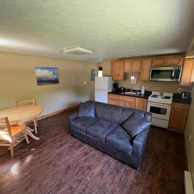 Queen Suite living area with sleeper sofa and kitchenette