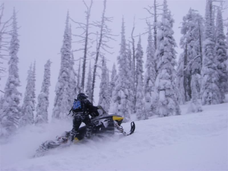 Groomed snowmobile trail through snow-covered pines