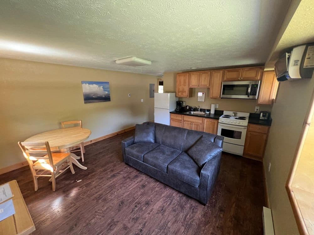 Queen Suite living area with sleeper sofa and kitchenette
